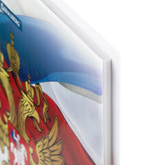 Дневник 5-11 класс 48 л., твердый, BRAUBERG, глянцевая ламинация, с подсказом, &laquo;Символика 2&raquo;, 106067