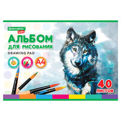Альбом для рисования, А4, 40 листов, скоба, обложка картон, BRAUBERG KIDS, 200&times;285 мм, &laquo;Зверята&raquo; (2 вида), 106683