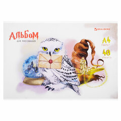 Альбом для рисования А4 40 л., скоба, обложка картон, BRAUBERG, 203&times;288 мм, &laquo;Магия&raquo; (2 вида), 106706