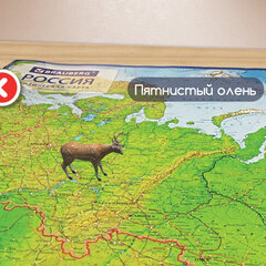 Карта России физическая 101&times;70 см, 1:8,5М, с ламинацией, интерактивная, европодвес, BRAUBERG, 112392