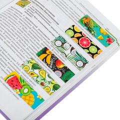 Закладки для книг МАГНИТНЫЕ, &laquo;FRUITS&raquo;, набор 6 шт., 60&times;20 мм, BRAUBERG, 113160