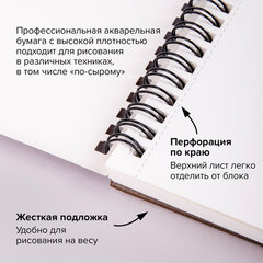 Альбом для акварели, бумага 300 г/<wbr/>м<sup>2</sup>, 190&times;270 мм, среднее зерно, 16 листов, гребень, BRAUBERG ART &laquo;PREMIERE&raquo;, 113212