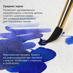 Альбом для акварели, бумага 300 г/<wbr/>м<sup>2</sup>, 150&times;300 мм, среднее зерно, 16 листов, склейка, BRAUBERG ART PREMIERE, 113218