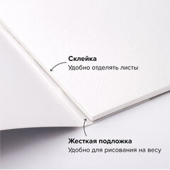 Альбом для акварели, бумага 300 г/<wbr/>м<sup>2</sup>, 150&times;300 мм, среднее зерно, 16 листов, склейка, BRAUBERG ART PREMIERE, 113218