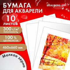 Бумага для акварели 300 г/<wbr/>м<sup>2</sup> 460&times;660 мм мелкое зерно, 10 листов, BRAUBERG ART PREMIERE, 113232