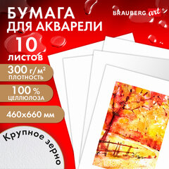 Бумага для акварели 300 г/<wbr/>м<sup>2</sup> 460&times;660 мм крупное зерно, 10 листов, BRAUBERG ART PREMIERE, 113234