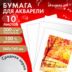 Бумага для акварели 300 г/<wbr/>м<sup>2</sup> 560&times;760 мм среднее зерно, 10 листов, BRAUBERG ART PREMIERE, 113238
