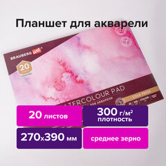 Папка для акварели/<wbr/>планшет, 300 г/<wbr/>м<sup>2</sup>, 270&times;390 мм, склейка, среднее зерно, 20 л., BRAUBERG ART PREMIERE, 113248