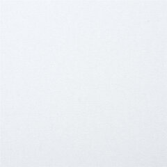Картон белый А4 МЕЛОВАННЫЙ (белый оборот), 16 листов, в папке, BRAUBERG, 200&times;290 мм, 113561