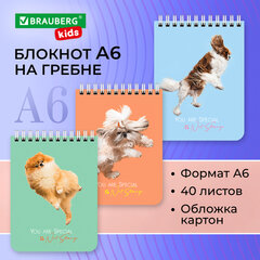 Блокнот МАЛЫЙ ФОРМАТ А6 108&times;145 мм, 40 л., гребень, картон, клетка, BRAUBERG KIDS, &laquo;Собачки&raquo;, 114394