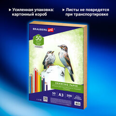 Бумага для рисования и графики в коробе А3, 50 л., 200 г/<wbr/>м<sup>2</sup>, ВАТМАН ГОЗНАК СПб, BRAUBERG ART, 114490