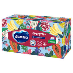 Салфетки косметические 2-слойные в картонном коробе, 250 штук, ZEMMA/<wbr/>ZEWA Everyday, 86791