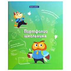 Папка-портфолио школьника &laquo;ОТЛИЧНИК&raquo;, 4 кольца, 20 файлов, 10 вкладышей, 7БЦ матовая, BRAUBERG, 115240