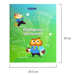 Папка-портфолио школьника &laquo;ОТЛИЧНИК&raquo;, 4 кольца, 20 файлов, 10 вкладышей, 7БЦ матовая, BRAUBERG, 115240