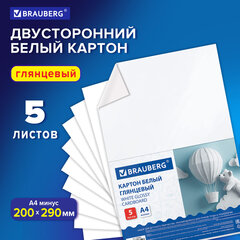 Картон белый А4 МЕЛОВАННЫЙ (белый оборот) 5 листов, BRAUBERG, 200&times;290 мм, 116626