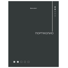 Папка-портфолио универсальная, 4 кольца, 20 файлов, 7БЦ матовая, BRAUBERG &laquo;Minimalism&raquo;, 117553