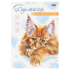 Альбомы и бумага для акварели и масла