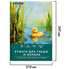 Бумага для гуаши и акрила А4 20 л., 235 г/<wbr/>м<sup>2</sup>, 210&times;297 мм, в папке, BRAUBERG ART CLASSIC, &laquo;Уточка&raquo;, 117732