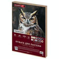 Бумага для пастели ФАКТУРНАЯ, А4, в коробке, 36 листов, 12 цветов, 270 г/<wbr/>м<sup>2</sup>, BRAUBERG ART, 117759