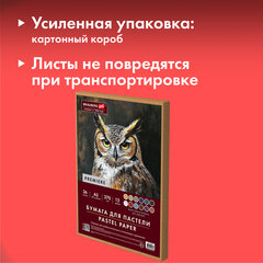 Бумага для пастели ФАКТУРНАЯ, А3, в коробке, 36 листов, 12 цветов, 270 г/<wbr/>м<sup>2</sup>, BRAUBERG ART, 117760