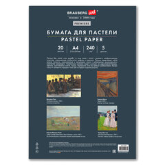 Бумага для пастели АБРАЗИВНАЯ А4 в папке, 20 листов, 5 цветов, 240 г/<wbr/>м<sup>2</sup>, BRAUBERG ART, 117763