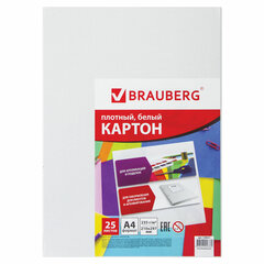 Картон белый А4 МЕЛОВАННЫЙ (белый оборот), 25 листов, BRAUBERG, 210&times;297 мм, 124021