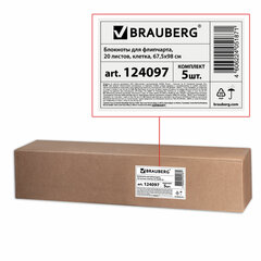 Блокноты для флипчарта ПЛОТНЫЕ 80 г/<wbr/>м<sup>2</sup>, BRAUBERG, 67,5&times;98 см, КОМПЛЕКТ 5 шт., 20 л., клетка, 124097