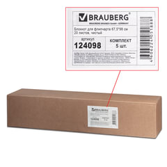 Блокноты для флипчарта ПЛОТНЫЕ 80 г/<wbr/>м<sup>2</sup>, BRAUBERG, 67,5&times;98 см, КОМПЛЕКТ 5 шт., 20 л., чистые, 124098