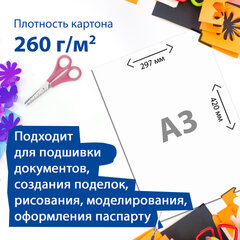 Картон для подшивки документов БОЛЬШОГО ФОРМАТА, А3 немелованный, 100 л., 260 г/<wbr/>м<sup>2</sup>, BRAUBERG, 297&times;420 мм, 124876