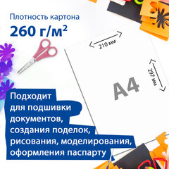 Картон для подшивки документов А4, немелованный, 100 листов, 260 г/<wbr/>м<sup>2</sup>, BRAUBERG, 210&times;297 мм, 124877