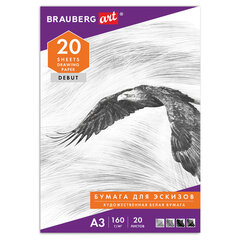Папка для рисования БОЛЬШОГО ФОРМАТА А3, 20 л., 160 г/<wbr/>м<sup>2</sup>, BRAUBERG, 297&times;420 мм, &laquo;Орел&raquo;, 125228