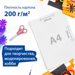 Картон белый А4 МЕЛОВАННЫЙ (белый оборот), 10 листов, BRAUBERG, 200&times;290 мм, 128017