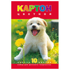 Цветной и белый картон