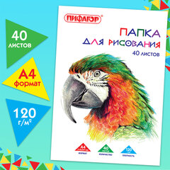 Папка для рисования, А4, 40 л., 120 г/<wbr/>м<sup>2</sup>, ПИФАГОР, 210&times;297 мм, &laquo;Попугай&raquo;, 129222
