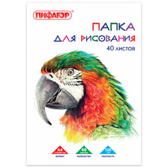 Папка для рисования, А4, 40 л., 120 г/<wbr/>м<sup>2</sup>, ПИФАГОР, 210&times;297 мм, &laquo;Попугай&raquo;, 129222
