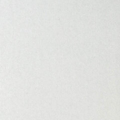 Картон белый А4 немелованный (матовый), 8 листов, в папке, ПИФАГОР, 200&times;290 мм, &laquo;Пингвин-рыболов&raquo;, 129905