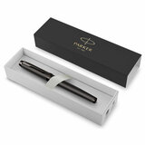 Ручка перьевая PARKER "IM Professionals Monochrome Titanium", темно-серый лак, сталь, синяя, 2172959