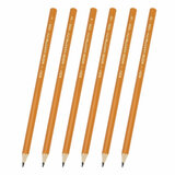 Карандаши чернографитные KOH-I-NOOR, НАБОР 6 шт., 2Н-2В, без резинки, заточенные, 1696/6