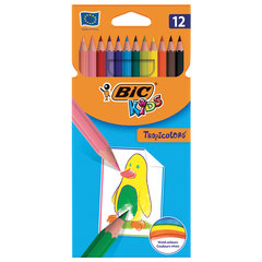 Карандаши цветные BIC &laquo;Tropicolors&raquo;, 12 цветов, шестигранные, 83256610