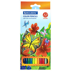 Карандаши цветные BRAUBERG &laquo;Wonderful butterfly&raquo;, 12 цв, шестигранные, грифель 3 мм, натуральное дерево, 180535