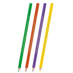 Карандаши цветные BIC &laquo;Intensity&raquo;, 12 цветов, трехгранные, 9505272