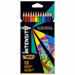 Карандаши цветные BIC &laquo;Intensity&raquo;, 12 цветов, трехгранные, 9505272