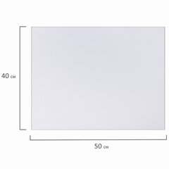 Холст на картоне BRAUBERG ART CLASSIC, 40&times;50 см, грунтованный, 100% хлопок, мелкое зерно, 190622