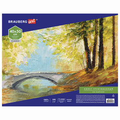 Холст на картоне BRAUBERG ART CLASSIC, 40&times;50 см, грунтованный, 100% хлопок, мелкое зерно, 190622