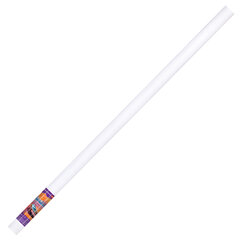 Холст в рулоне BRAUBERG ART DEBUT, 1,6&times;10 м, грунт., 280 г/<wbr/>м<sup>2</sup>, 100% хлопок, мелкое зерно, 191030