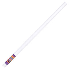Холст в рулоне BRAUBERG ART DEBUT, 2,1&times;10 м, грунт., 280 г/<wbr/>м<sup>2</sup>, 100% хлопок, мелкое зерно, 191031