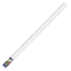 Холст в рулоне BRAUBERG ART CLASSIC, 2,1&times;10 м, грунт., 380 г/<wbr/>м<sup>2</sup>, 100% хлопок, среднее зерно, 191033
