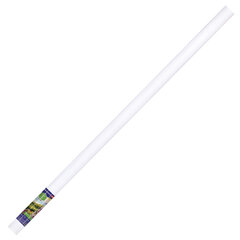 Холст в рулоне BRAUBERG ART CLASSIC, 2&times;3 м, 380 г/<wbr/>м<sup>2</sup>, грунтованный, 100% хлопок, мелкое зерно, 191687