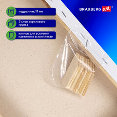 Холст на подрамнике BRAUBERG ART CLASSIC, 40&times;50 см, 380 г/<wbr/>м<sup>2</sup>, грунтованный, 100% хлопок, 192197
