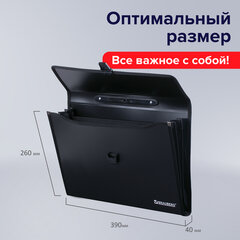 Папка-портфель пластиковая BRAUBERG А4+ (390&times;260&times;40 мм), 3 отделения, фактура линейная, черная, 221389